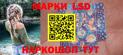 гидропоника Сланцы