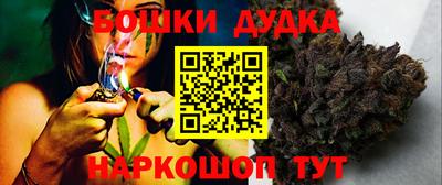 гидропоника Сланцы