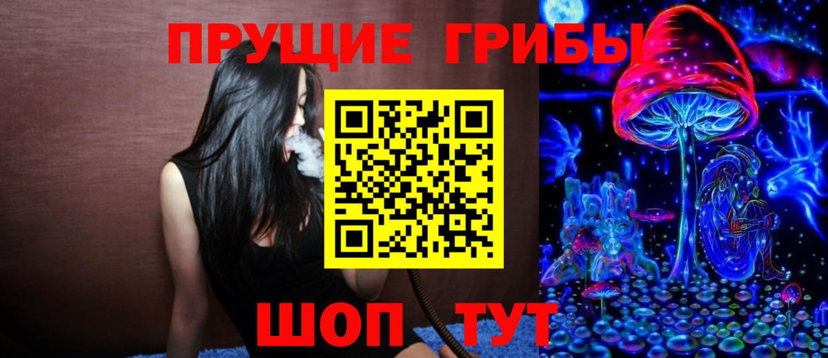 Псилоцибиновые грибы Psilocybine cubensis  Вход с VPN  Новозыбков  Галлюциногенные грибы GOLDEN TEACHER 